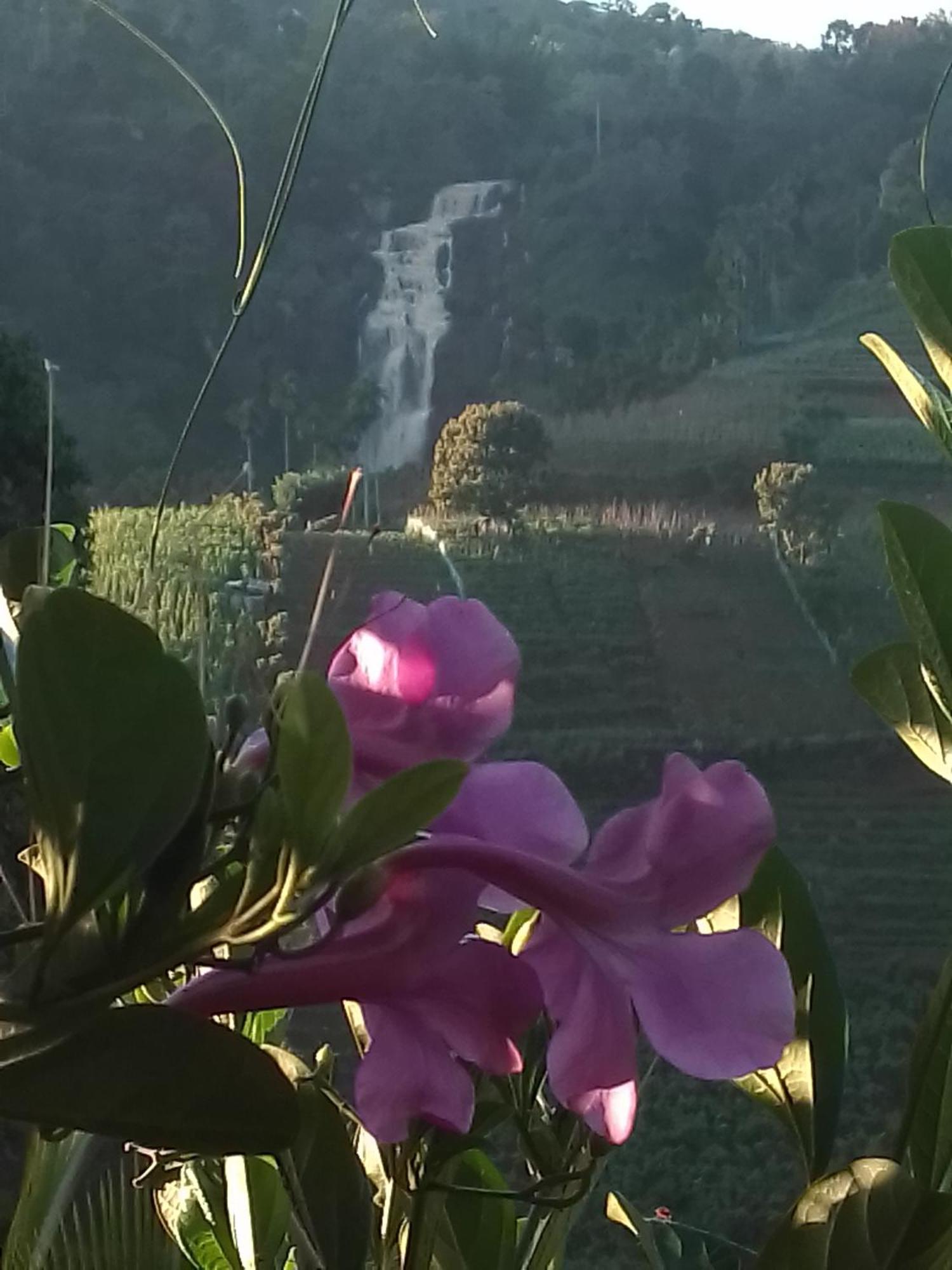 Cascade Vally เอลลา ภายนอก รูปภาพ